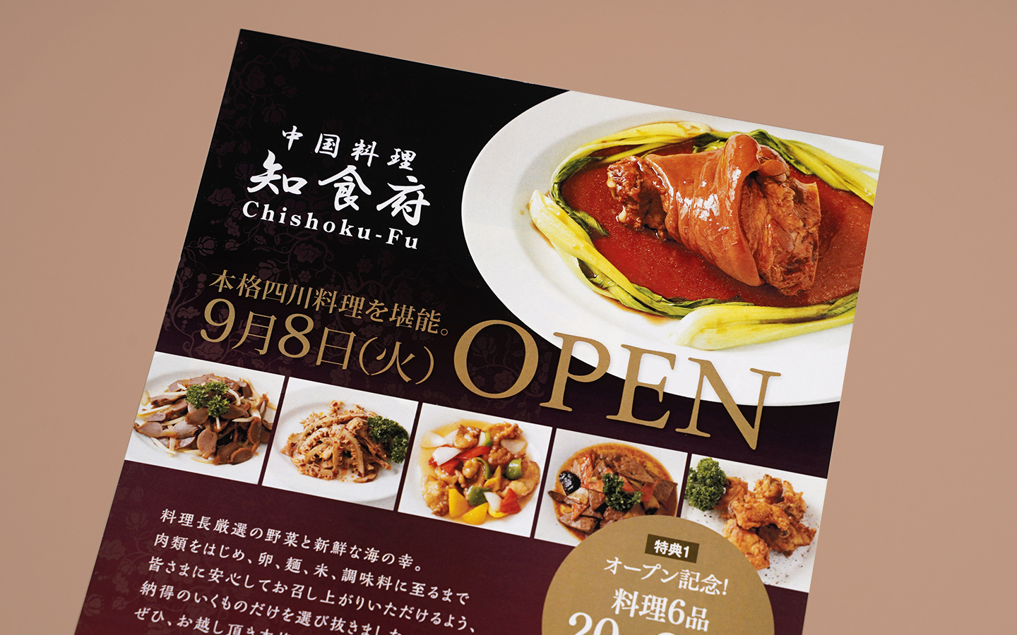 飲食店 中華料理 オープンチラシ 店内メニュー 写真撮影 京都広告デザイン Com